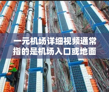 一元机场详细视频通常指的是机场入口或地面停车场的入口，通常是一元化的，意味着入口较为简洁，适合视频拍摄。以下是一些关于一元机场视频的内容建议