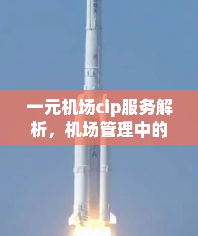一元机场cip服务解析，机场管理中的关键技术