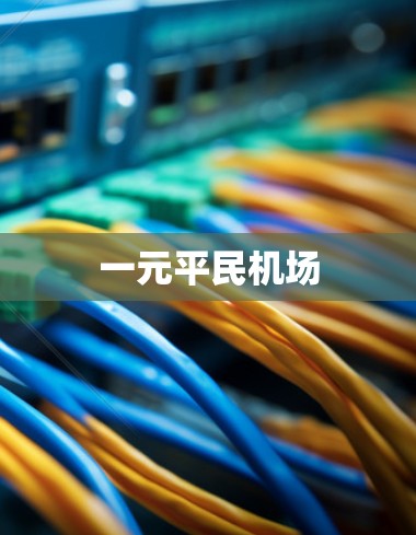 一元平民机场