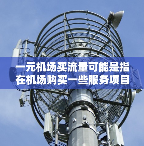 一元机场买流量可能是指在机场购买一些服务项目，价格相对较低。机场通常有多种服务项目，如餐饮、购物、娱乐等，这些服务的定价通常比较优惠。以下是一些可能的解释和建议