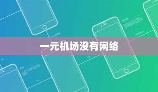 一元机场没有网络