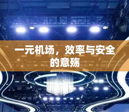 一元机场，效率与安全的意殇