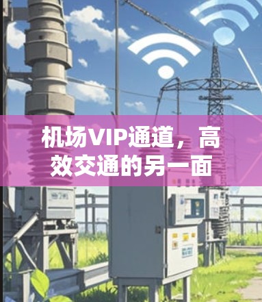 机场VIP通道，高效交通的另一面