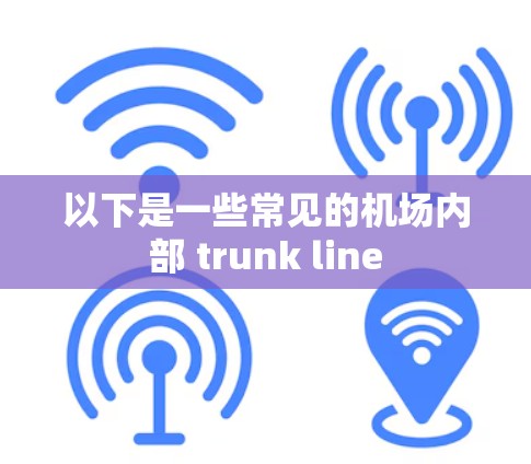 以下是一些常见的机场内部 trunk line