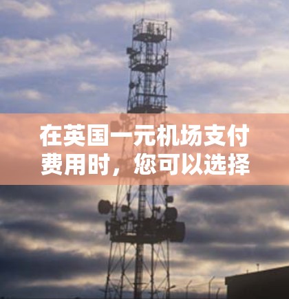 在英国一元机场支付费用时，您可以选择以下几种方法