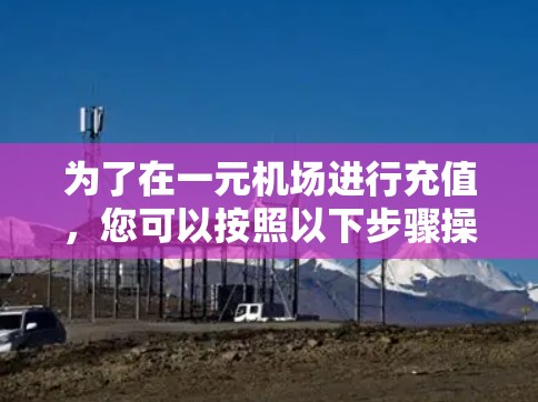 为了在一元机场进行充值，您可以按照以下步骤操作