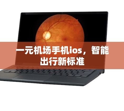 一元机场手机ios，智能出行新标准