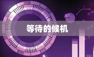 等待的候机
