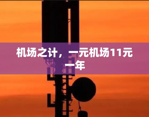 机场之计，一元机场11元一年