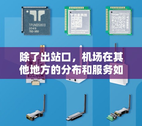 除了出站口，机场在其他地方的分布和服务如下