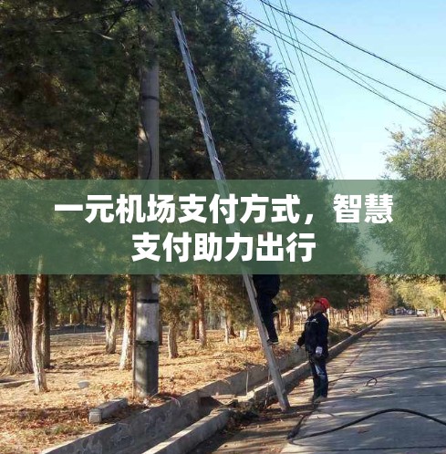 一元机场支付方式，智慧支付助力出行