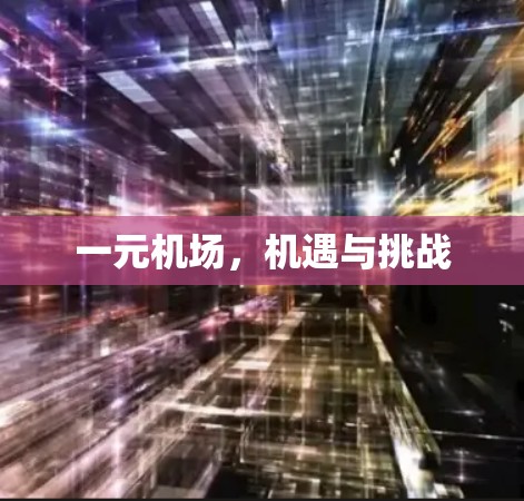 一元机场，机遇与挑战