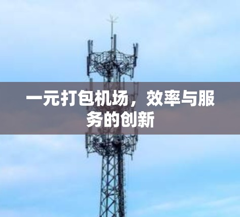 一元打包机场，效率与服务的创新
