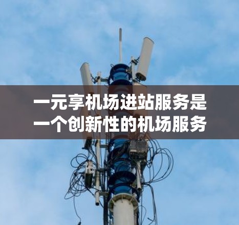 一元享机场进站服务是一个创新性的机场服务模式，通过统一处理不同区域的旅客，提升效率和用户体验。以下是对这一概念的详细分析