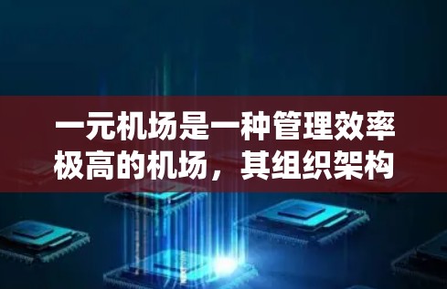 一元机场是一种管理效率极高的机场，其组织架构和信息管理系统设计非常简洁，确保所有部门协调一致。以下是对一元机场组织架构和信息管理系统的详细分析