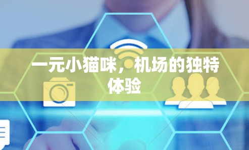 一元小猫咪，机场的独特体验
