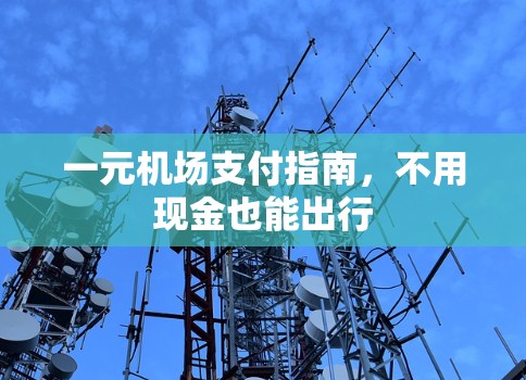 一元机场支付指南，不用现金也能出行