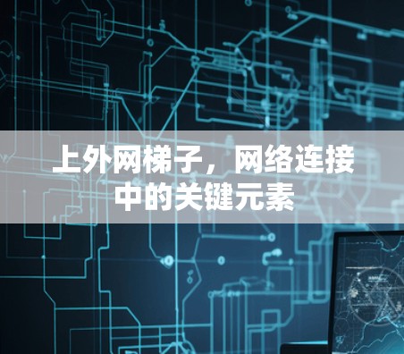上外网梯子，网络连接中的关键元素