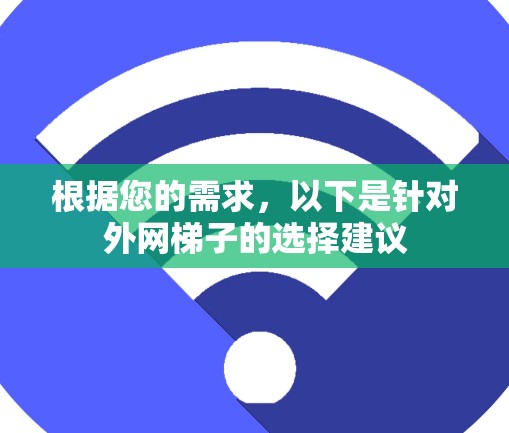 根据您的需求，以下是针对外网梯子的选择建议
