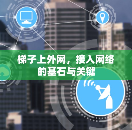 梯子上外网，接入网络的基石与关键