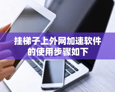 挂梯子上外网加速软件的使用步骤如下