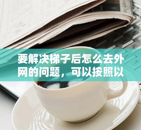 要解决梯子后怎么去外网的问题，可以按照以下步骤进行