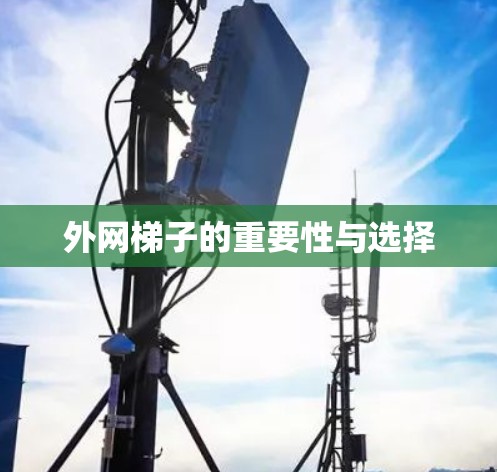 外网梯子的重要性与选择