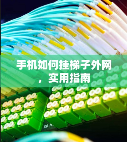手机如何挂梯子外网，实用指南