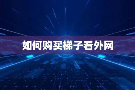 如何购买梯子看外网
