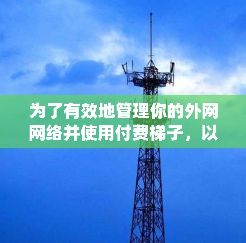为了有效地管理你的外网网络并使用付费梯子，以下是一个系统化的步骤指南