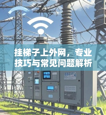 挂梯子上外网，专业技巧与常见问题解析