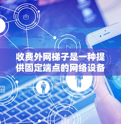 收费外网梯子是一种提供固定端点的网络设备，通常用于提供外部网络连接。它由多个电源插头和连接器组成，连接到服务器或路由器上，提供稳定的、可配置的网络连接。以下是对收费外网梯子的详细分析