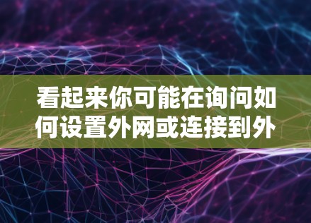 看起来你可能在询问如何设置外网或连接到外网。以下是一些可能的步骤和信息