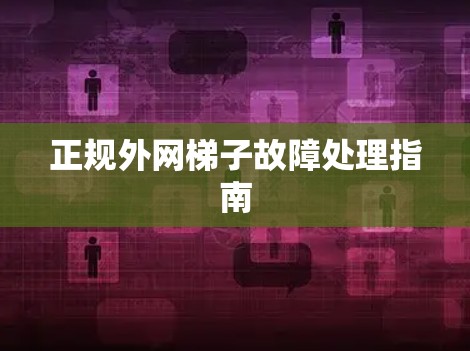 正规外网梯子故障处理指南