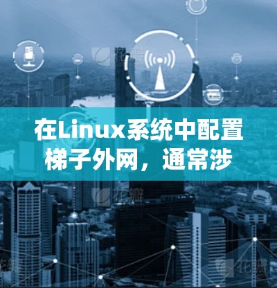 在Linux系统中配置梯子外网，通常涉及以下步骤