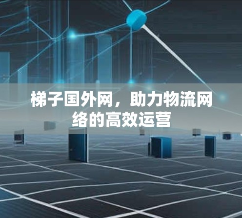 梯子国外网，助力物流网络的高效运营