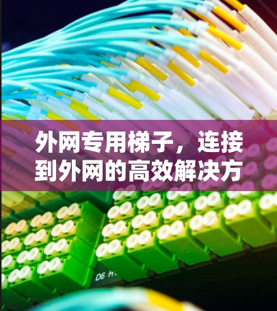 外网专用梯子，连接到外网的高效解决方案