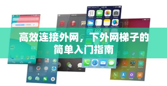 高效连接外网，下外网梯子的简单入门指南