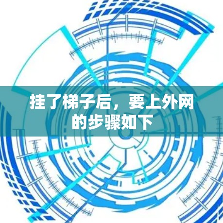 挂了梯子后，要上外网的步骤如下