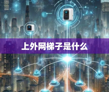 上外网梯子是什么