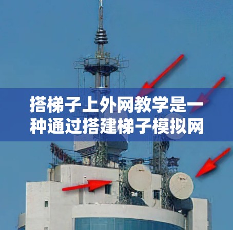 搭梯子上外网教学是一种通过搭建梯子模拟网络技术的教育平台，帮助用户学习和实践网络相关知识。以下是关于这一教学模式的详细分析
