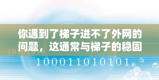你遇到了梯子进不了外网的问题，这通常与梯子的稳固性、连接方式、物理结构以及网络配置有关。以下是一些建议，帮助你解决问题