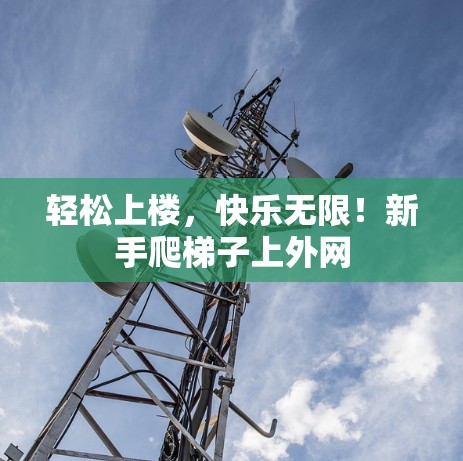 轻松上楼，快乐无限！新手爬梯子上外网