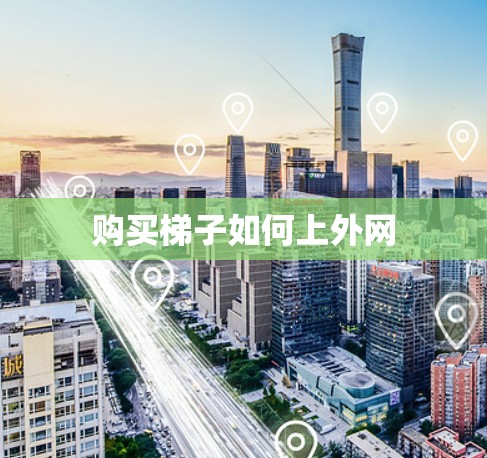 购买梯子如何上外网