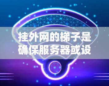挂外网的梯子是确保服务器或设备正确安装和维护的关键步骤。以下是对挂外网梯子的详细指南