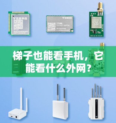 梯子也能看手机，它能看什么外网？