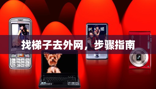 找梯子去外网，步骤指南