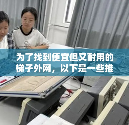 为了找到便宜但又耐用的梯子外网，以下是一些推荐