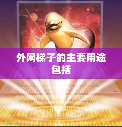 外网梯子的主要用途包括