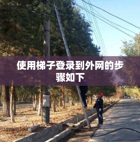 使用梯子登录到外网的步骤如下